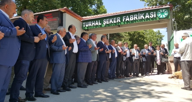 TURHAL ŞEKER TÜRKİYE`NİN YILDIZ ŞEKER FABRİKALARINDAN BİRİ OLACAK
